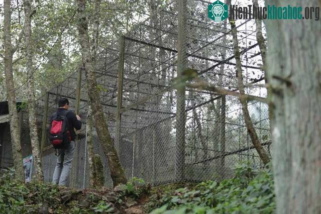 Khu vực nuôi các cá thể chuột túi được ngăn cách với khu ngoài trời bằng rào sắt.
