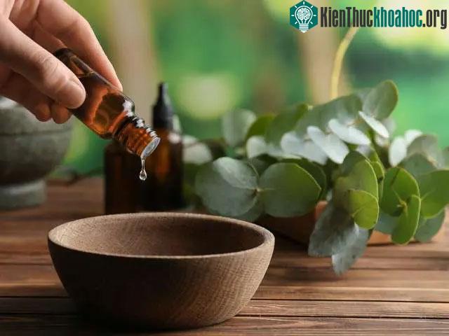 Không được uống tinh chất dầu khuynh diệp trực tiếp.