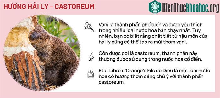 Hương hải ly