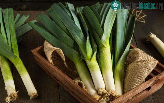 Folate có trong tỏi tây có thể phòng ngừa dị tật ống thần kinh ở thai nhi.