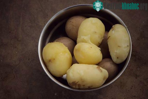 Nấu và làm nguội thực phẩm giàu tinh bột đồng nghĩa với việc tăng hàm lượng chất xơ