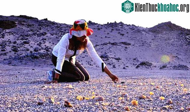 Không chỉ có đá mã não, ở hồ Agate còn có cả đá thạch anh, đá opal cùng nhiều loại khác.