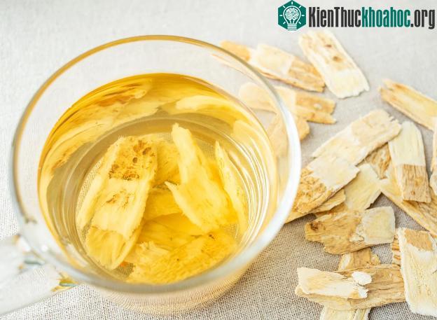 ác loại rễ cây thảo mộc được sử dụng phổ biến bởi nhiều lợi ích cho sức khỏe, khi pha với nước ấm sẽ trở thành loại trà bồi bổ cơ thể, tốt cho thận và tim. Công dụng của rễ cây bồ công anh và rễ câ...
