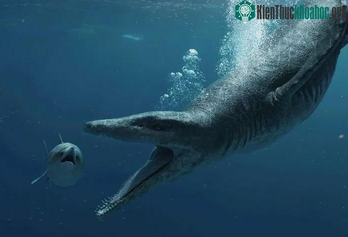 &nbsp;Hình họa về loài Pliosaur.