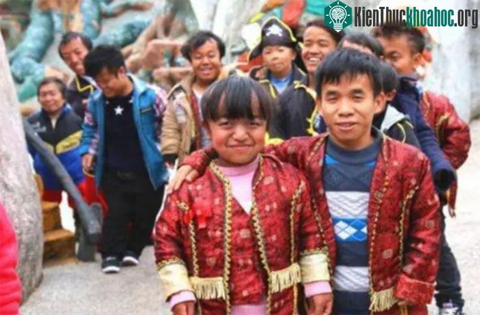 Người trưởng thành nơi đây chỉ có triều cao trung bình từ 80 - 120cm.