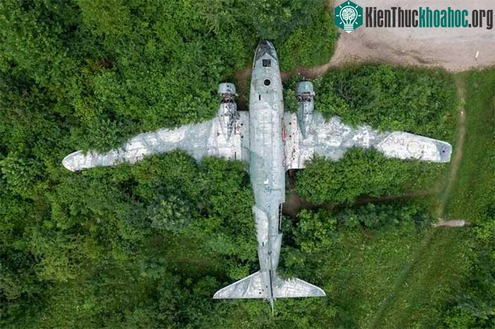 Máy bay Douglas C-47 bị bỏ hoang trong khu căn cứ quân sự Zeljava.