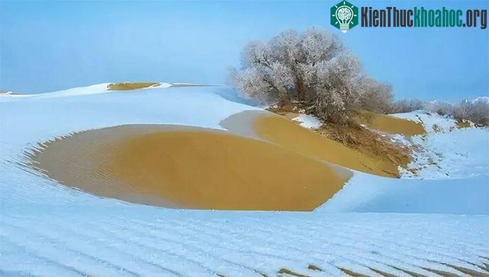 Lượng mưa trung bình hàng năm tại sa mạc không vượt quá 100mm