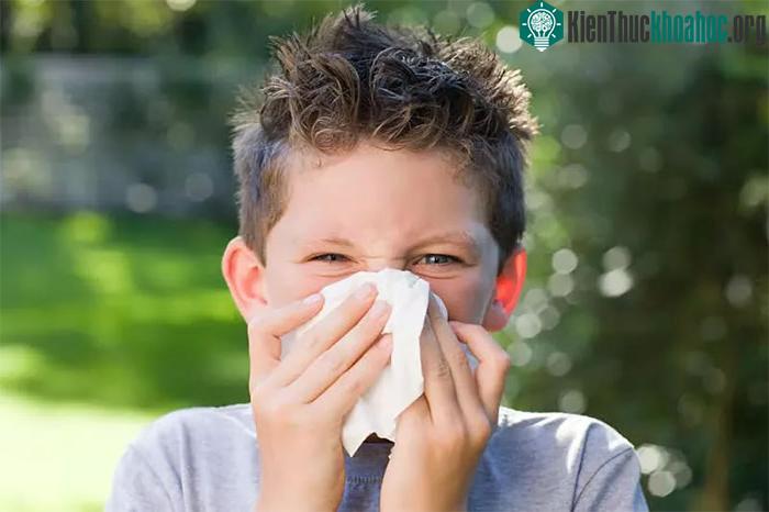 Hướng dẫn phân biệt triệu chứng cảm lạnh và viêm phế quản ảnh 3