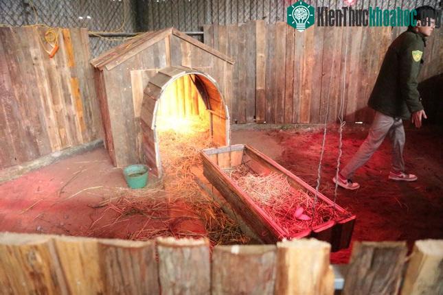 Bên trong có khu chăm sóc, được quây tôn, ván gỗ kín.