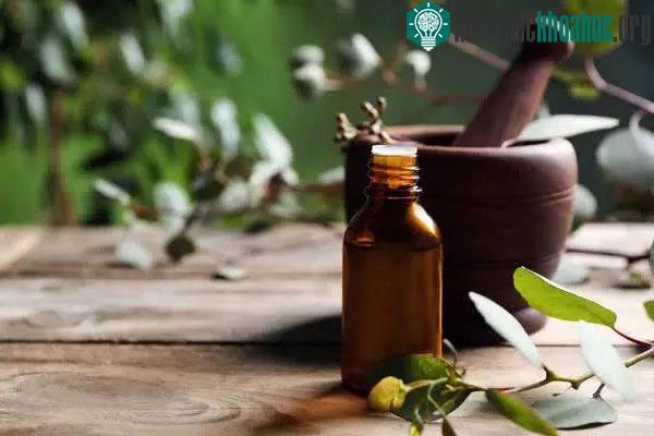 Dầu khuynh diệp có mùi thơm ấm đặc trưng.