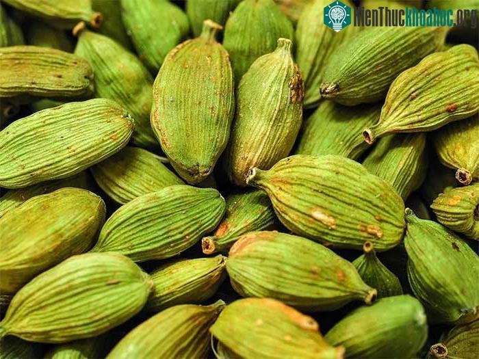 Bạch đậu khấu là loại gia vị quen thuộc ở Việt Nam.