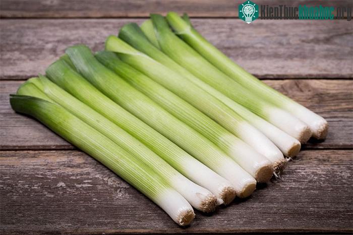 Những người bị sỏi thận không nên ăn quá nhiều tỏi tây.
