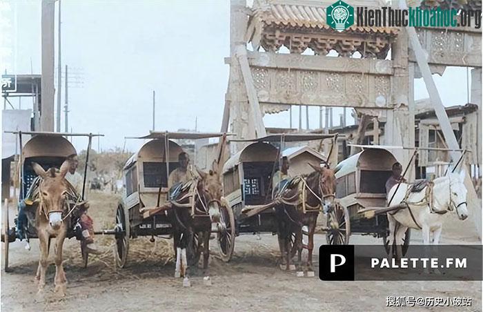 Phần xe phía sau thường được làm bằng gỗ tốt, chắc chắn và bền.