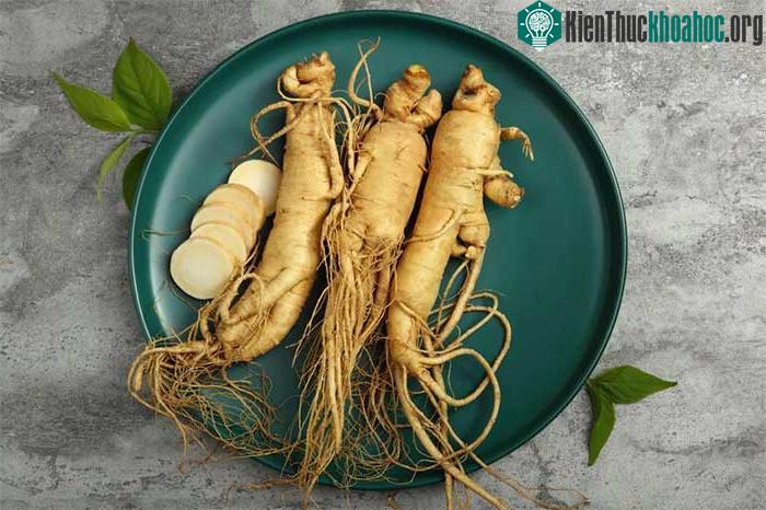 Nhân sâm có thể được ứng dụng trong nhiều bài thuốc, món ăn hoặc ngâm rượu.