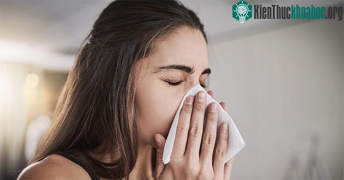 Hướng dẫn phân biệt triệu chứng cảm lạnh và viêm phế quản ảnh 4