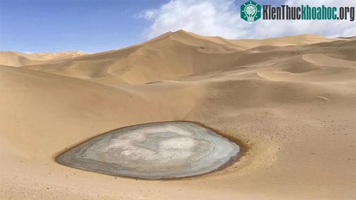 Sinh vật biển dưới lòng đất cũng cần thích nghi với môi trường áp suất cao.