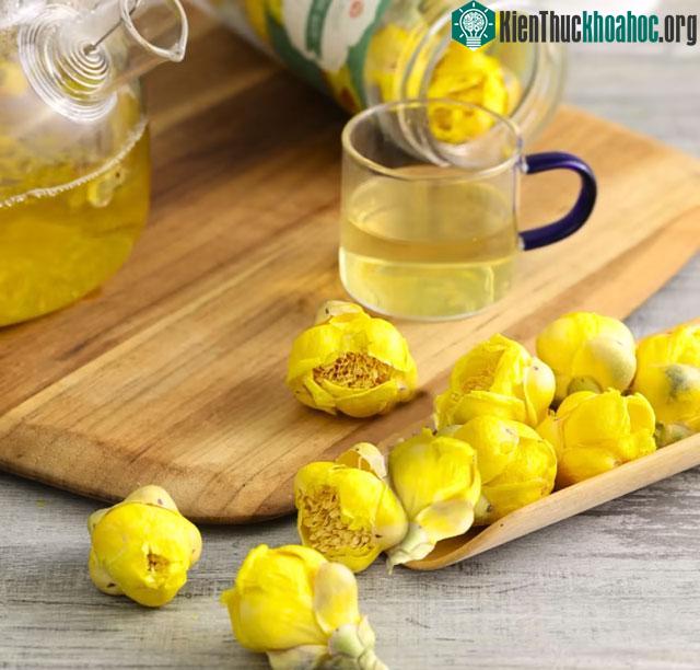 Trà hoa vàng Bù Gia Mập là loài cây quý hiếm cần được nhân rộng và phát huy thêm.