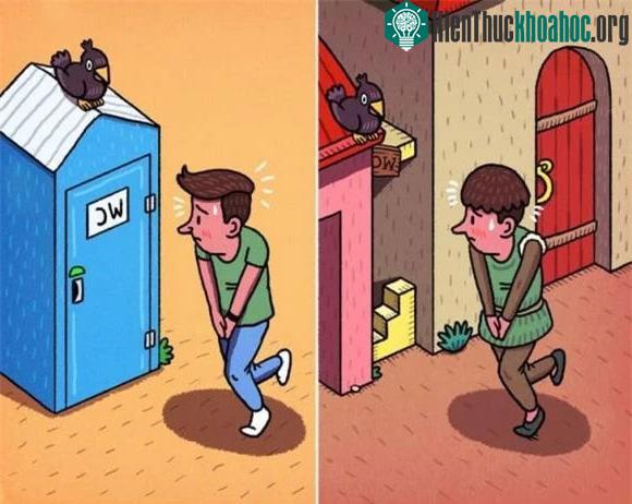 Nhà vệ sinh ngoài trời