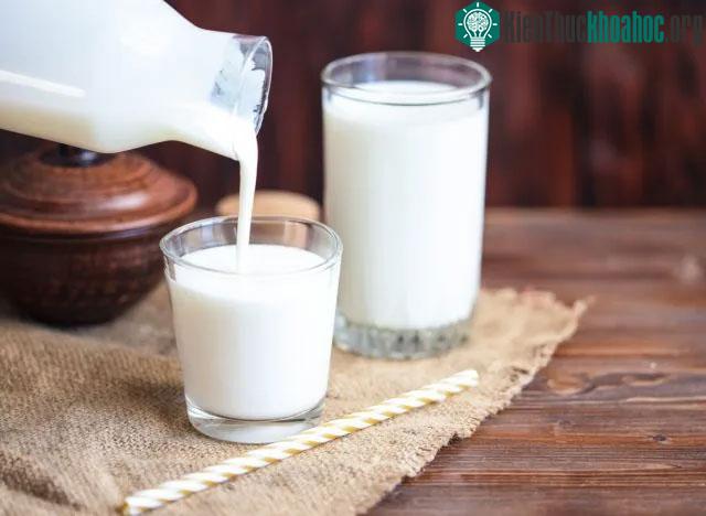 Sữa lên men chứa probiotic