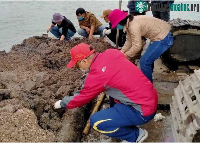 Khảo sát tại mỏ Hến 1, lòng hồ Tam Chúc.
