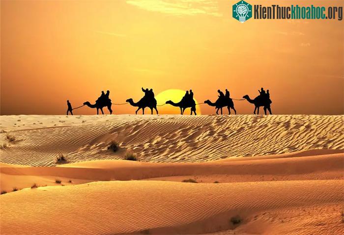 Sa mạc Sahara từng là rừng rậm