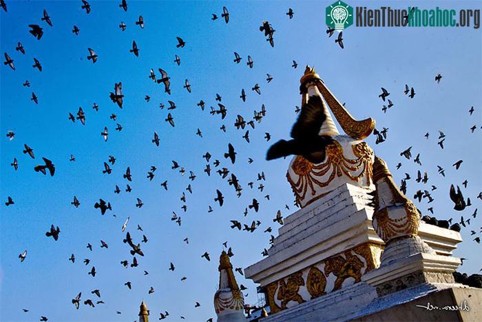 Một góc tu viện Phật giáo ở Mông Cổ.