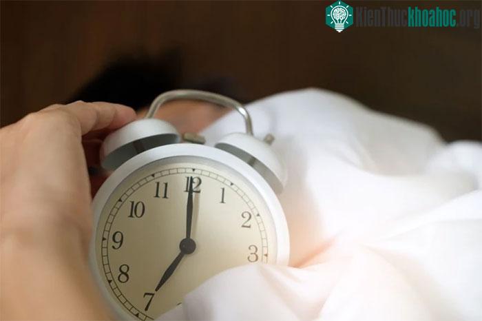 Khung hoạt động của các cơ quan nội tạng được gọi là đồng hồ sinh học của cơ thể.