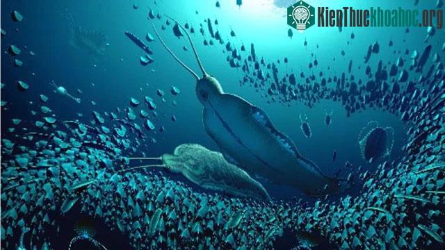 Chân dung "quái vật khủng bố" kỷ Cambri