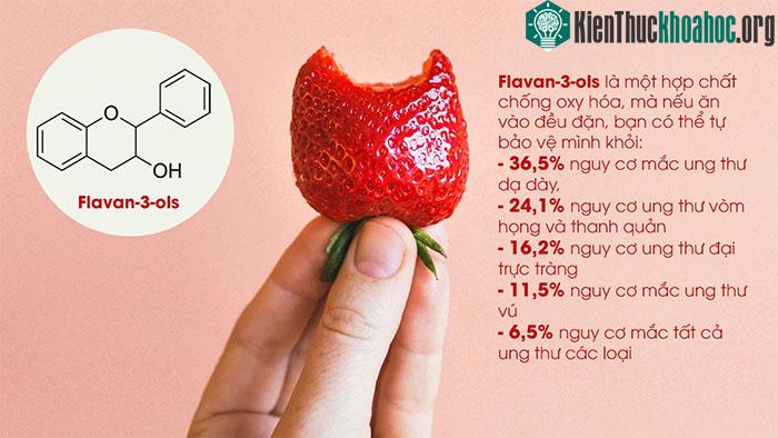 Lợi ích của Flavan-3-ols có trong dâu tây. (