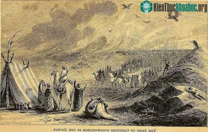 Quân đội Cambyses áp đảo trên sa mạc.