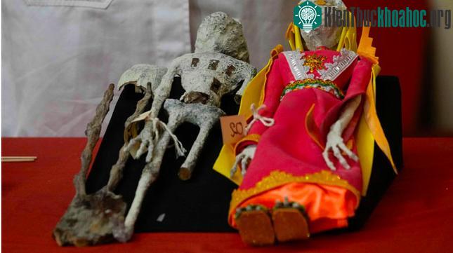 Hai sinh vật này không phải xác người ngoài hành tinh.