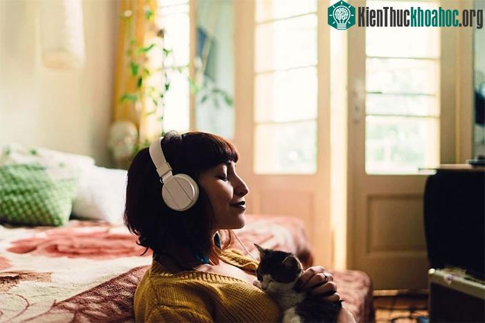 Sự bùng nổ dopamine khi tìm kiếm và gặp lại người yêu được cho là giảm dần theo thời gian