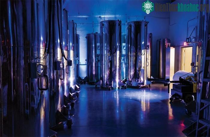Những thùng chứa chuyên dụng thi thể được bảo quản lạnh.