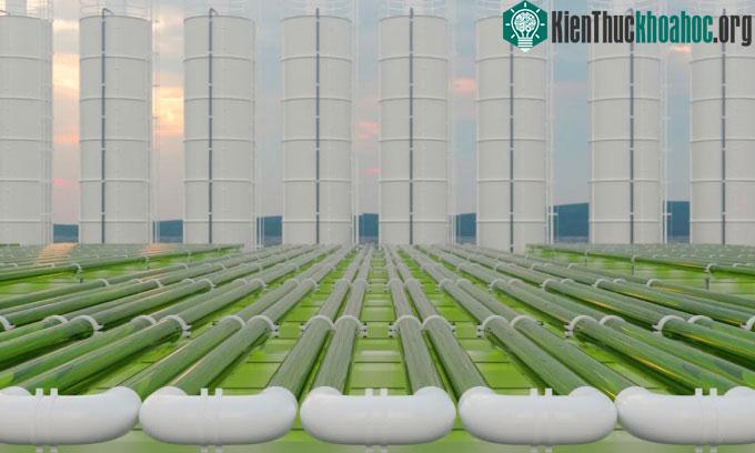 Mô phỏng quá trình thu giữ CO2 từ không khí và tận dụng để sản xuất sản phẩm.