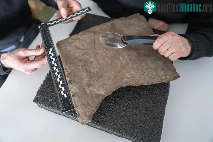 Các nhà khảo cổ nước này đã tìm thấy một con dao nhỏ khắc chữ viết rune.