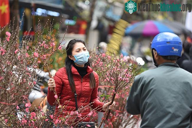 Từ 6/2 đến 9/2, không khí lạnh tràn xuống khiến miền Bắc se lạnh