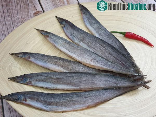 Cá chạch chứa nhiều dưỡng chất có tác dụng tốt trong việc bảo vệ và phục hồi thận.