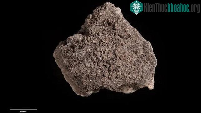 Mảnh gốm này có chứa thực phẩm cháy 5.000 năm tuổi trên đó.