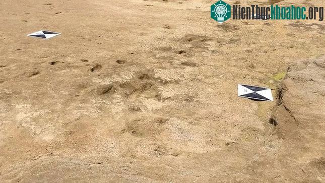 Các nhà nghiên cứu đã phát hiện ra 85 dấu chân do con người để lại tại bãi biển ở Morocco.