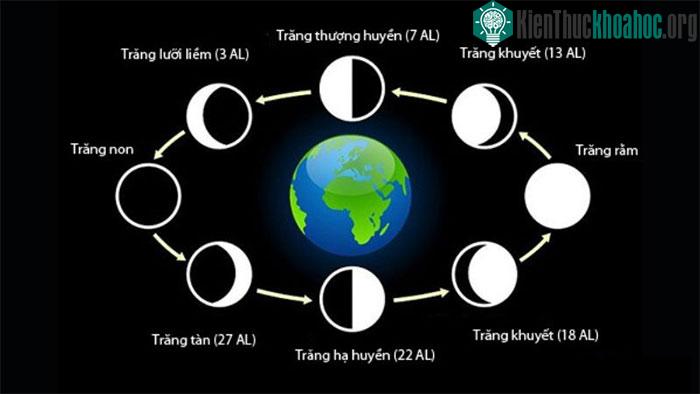 Chu kỳ của Mặt trăng.