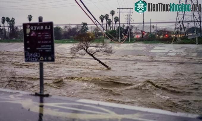 Lũ lụt ở Los Angeles hôm 5/2.