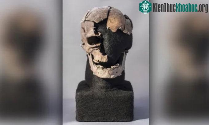 Hộp sọ bị vỡ của người Vittrup.