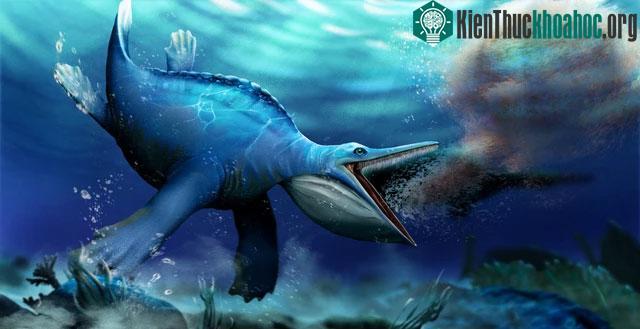 Hupehsuchus nanchangensis
