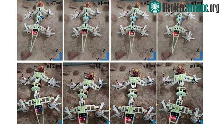 Robot thằn lằn sa mạc