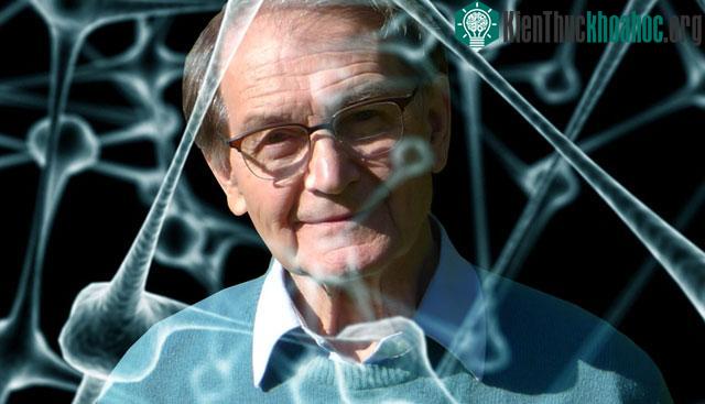 Nhà vật lý Roger Penrose.