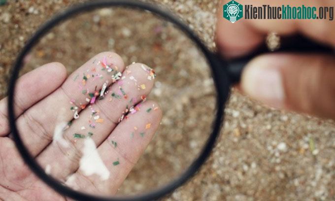 Vi nhựa phát hiện trong nhau thai có kích thước 6,5 - 790 microgram