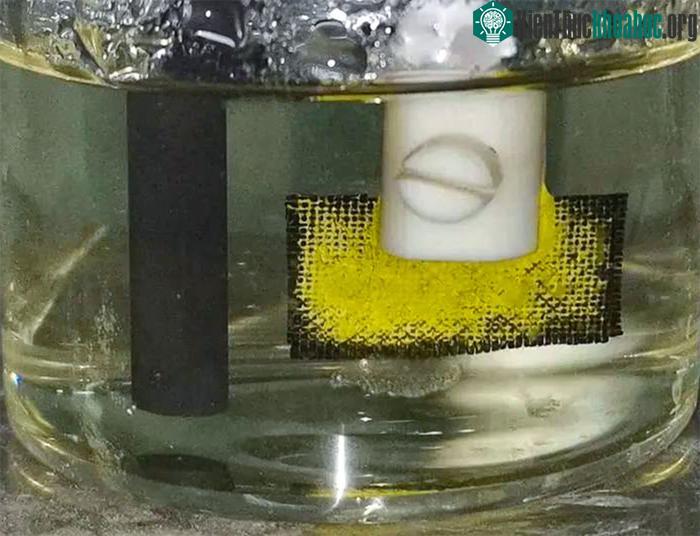 Uranium màu vàng sáng hình thành trên tấm vải trong thí nghiệm chiết xuất từ nước biển