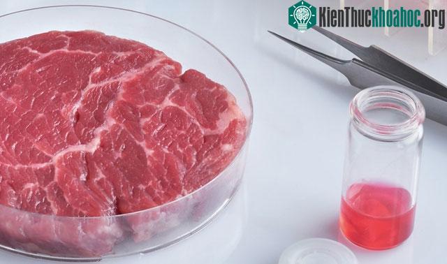 Việc sản xuất thịt nhân tạo cần ít diện tích đất hơn