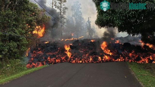 Tính dễ cháy của magma khiến thực vật xung quanh miệng núi lửa nhanh chóng bị đốt cháy.