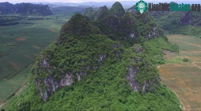 Bí ẩn cái chết của loài khỉ khổng lồ cao hơn 3m đã từng tồn tại ở khắp Trung Quốc ảnh 1